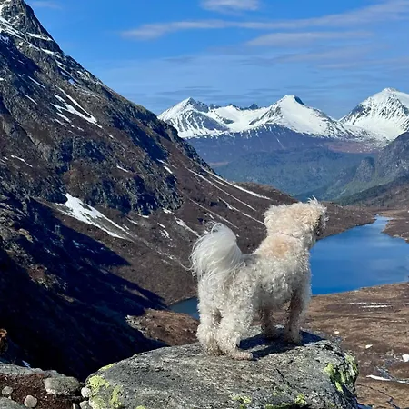 Utsikten Eggen * Åndalsnes