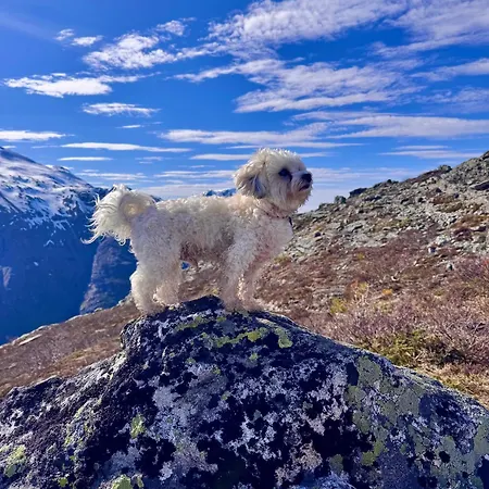 Gasthuis Utsikten Eggen