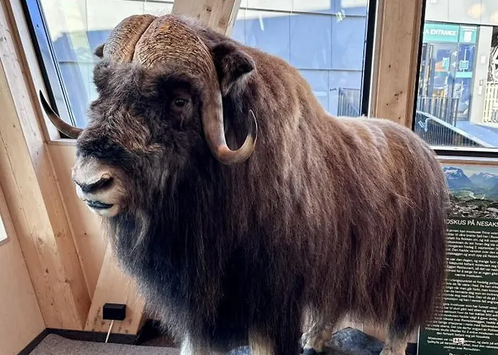 Pensionat Utsikten Eggen Åndalsnes