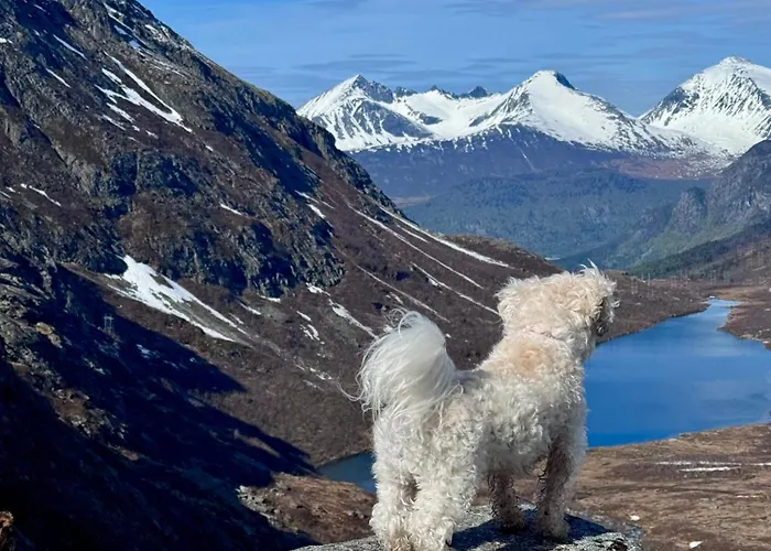 Utsikten Eggen * Åndalsnes