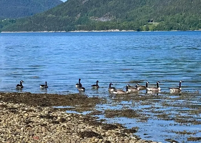 Utsikten Eggen Åndalsnes