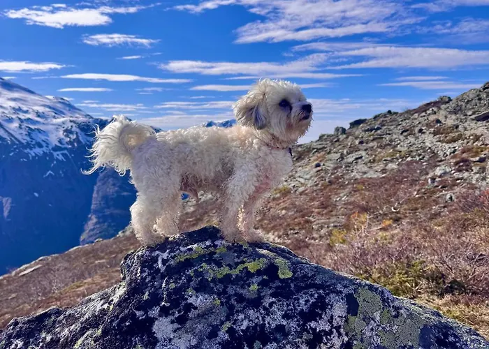 Pensionat Utsikten Eggen