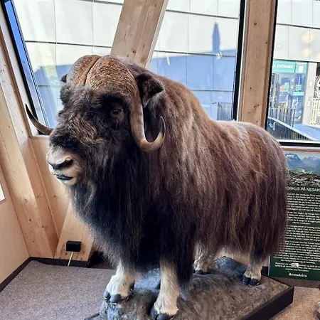 Pensjonat Utsikten Eggen Åndalsnes